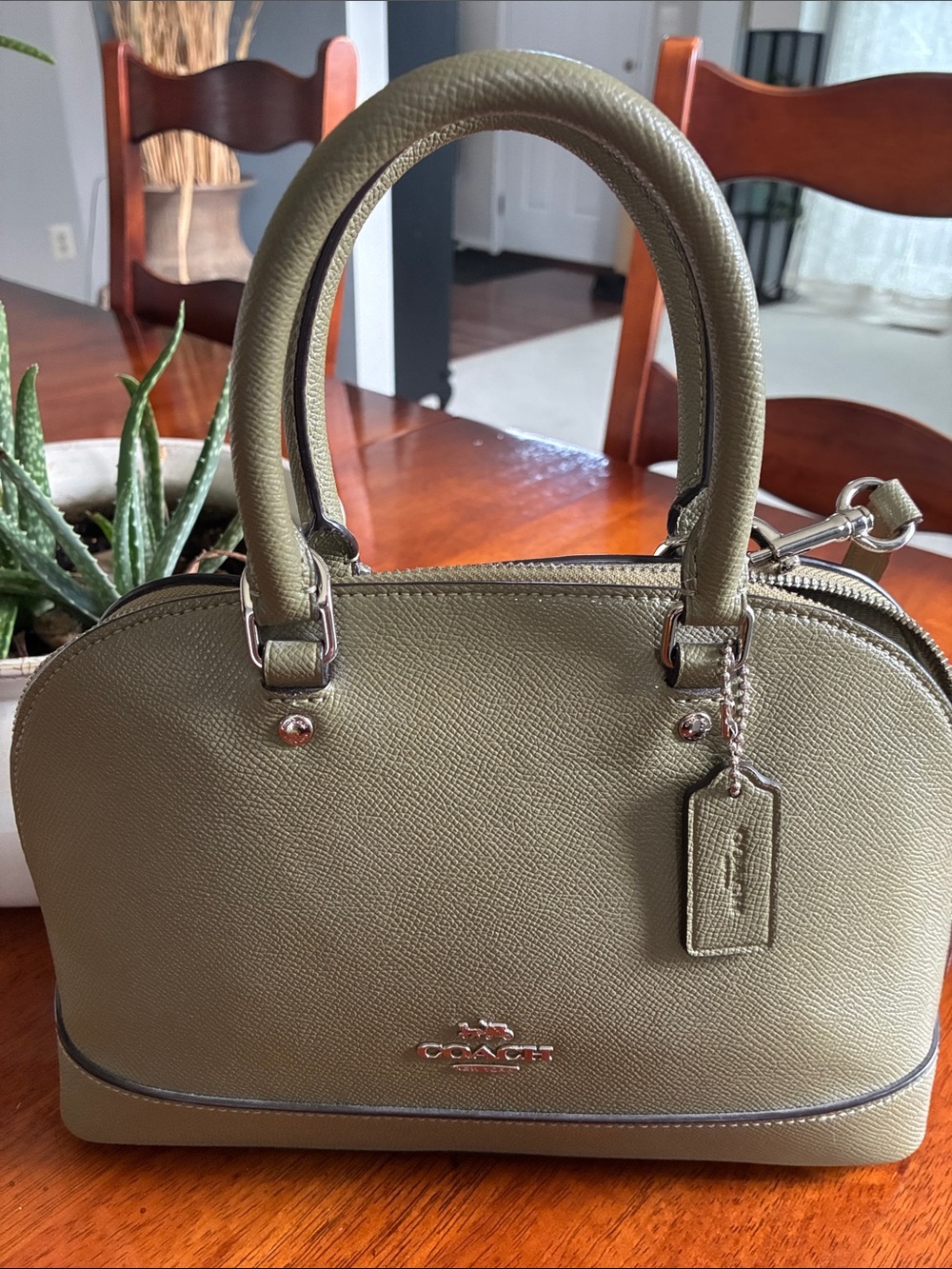 Coach Olive Leather Dome Satchel with Silver Hardware